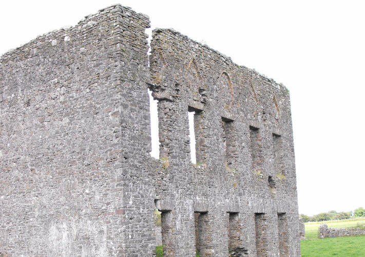 Ballinakill Castle, Ireland